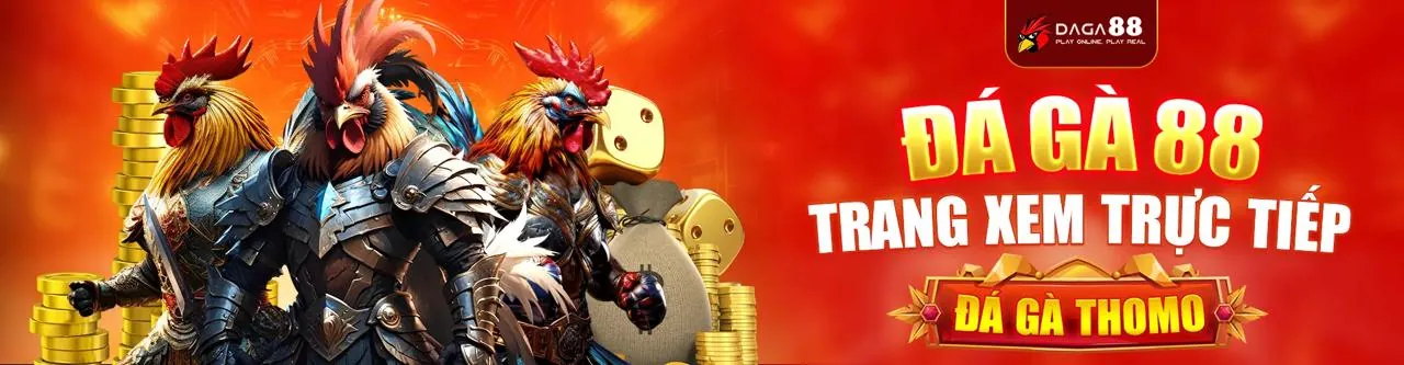 Người chơi đang cá cược có trách nhiệm trên FB8BET